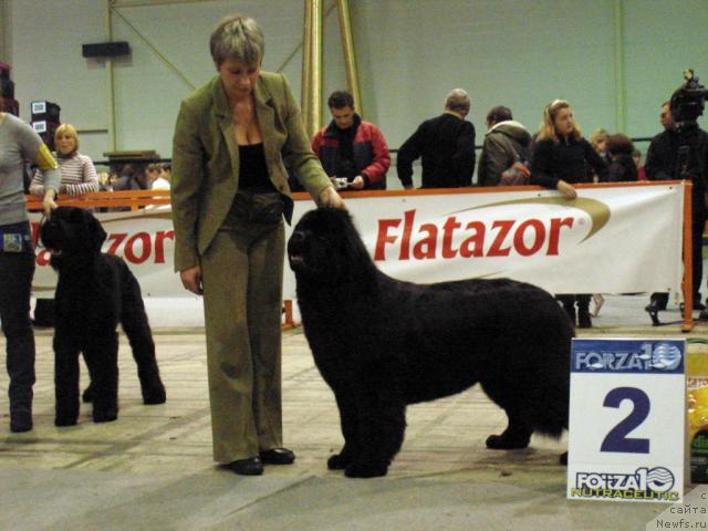 Фотография № 23255