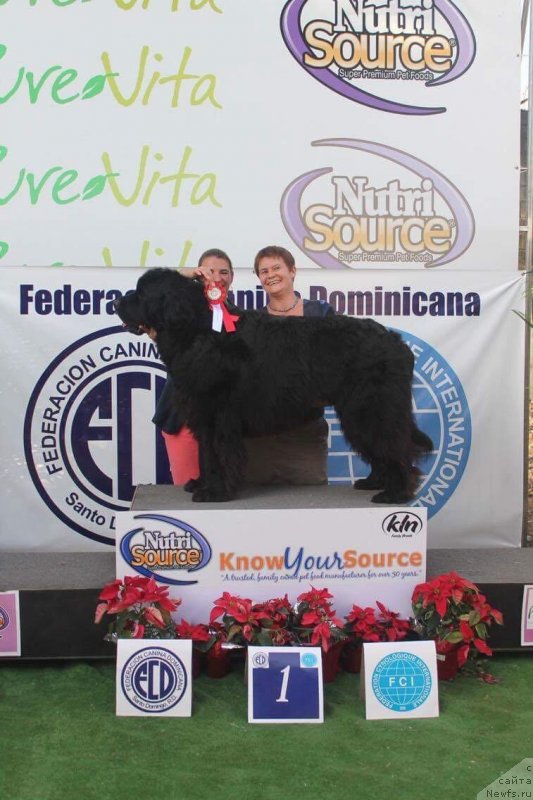 Фотография № 232553