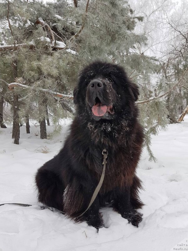 Фотография № 232591