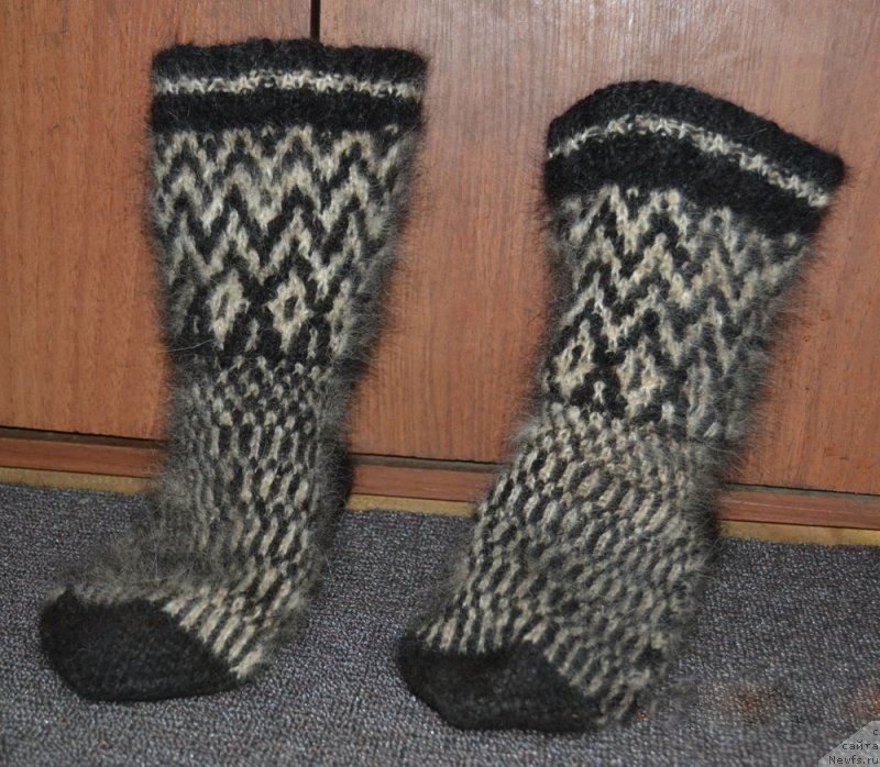 Фотография № 232592