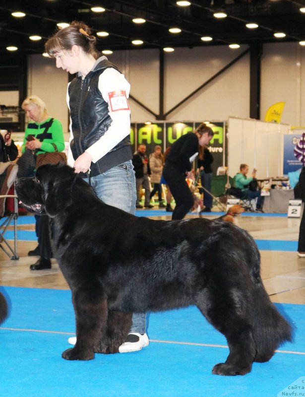 Фотография № 232620