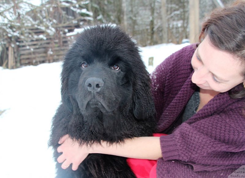 Фотография № 232624