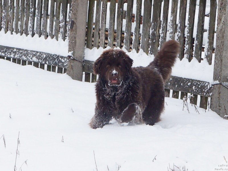 Фотография № 232692