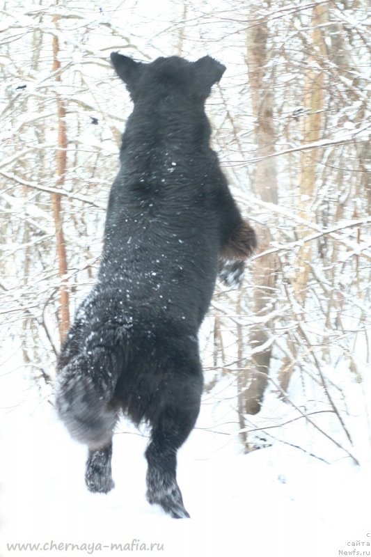 Фотография № 232715