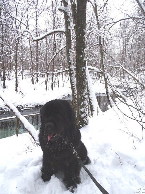 Фотография № 232728