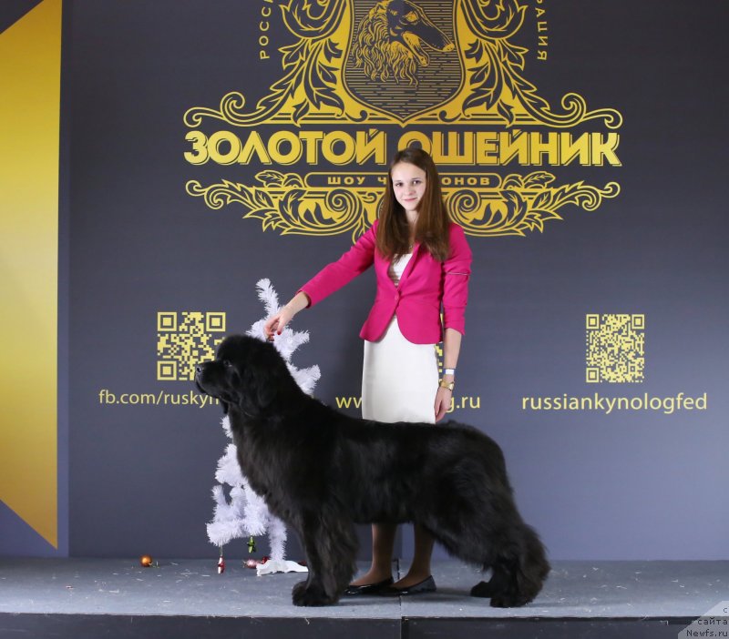 Фото: ньюфаундленд Eclipseofthemoon Newfoundlandhills Newfoundlandhills