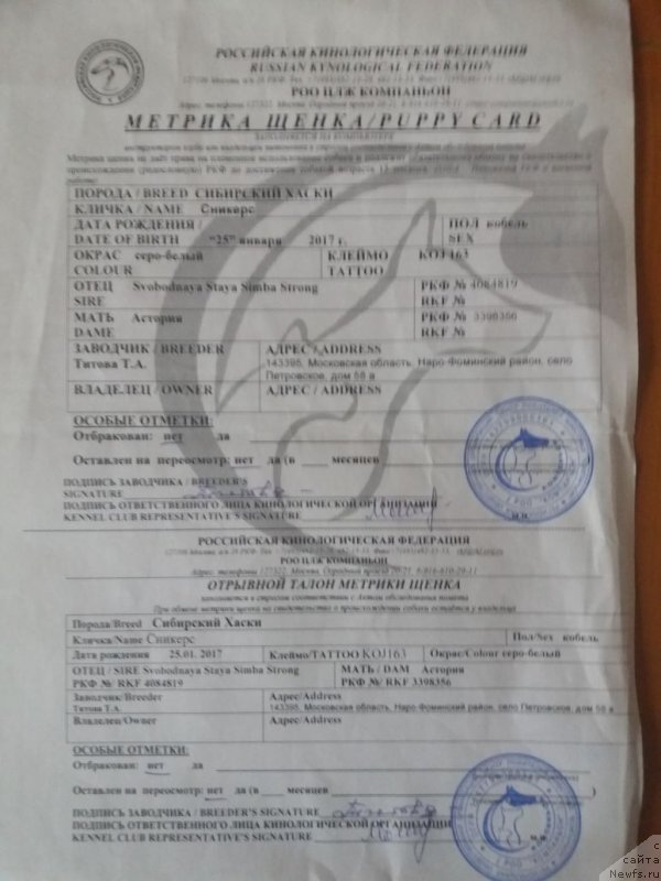 Фотография № 232758