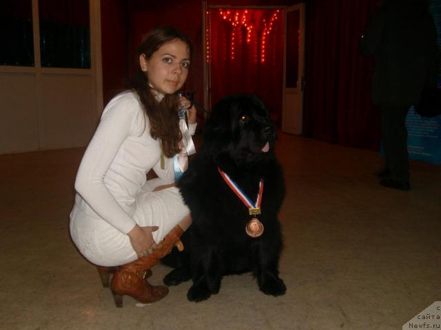 Фото: ньюфаундленд Ottava (Оттава), Katerinka Klassen (Катеринка Классен)