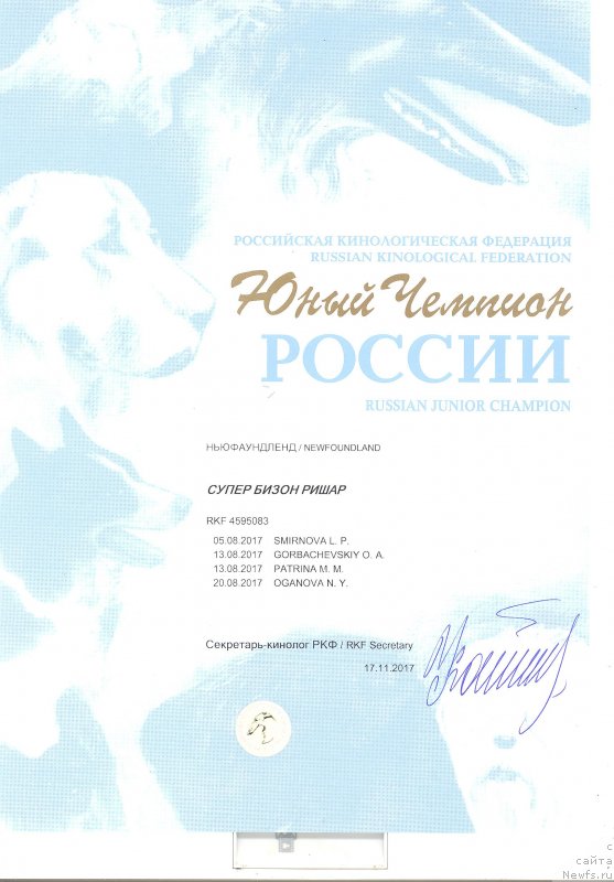 Фото: ньюфаундленд Super Bizon Rishar (Супер Бизон Ришар)