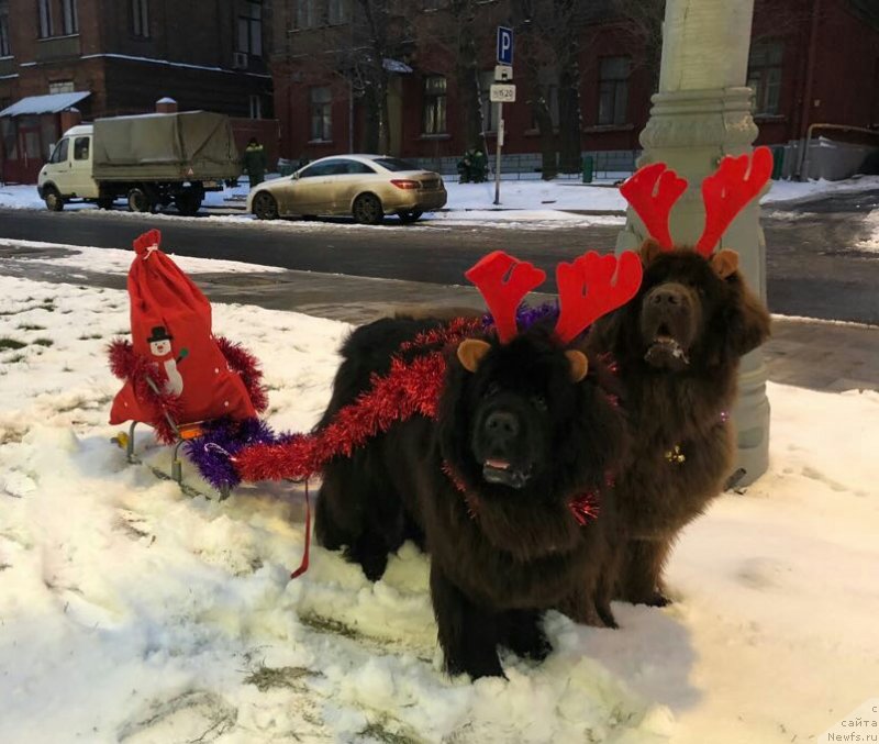 Фотография № 232768