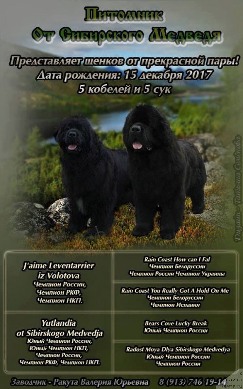 Фотография № 232777