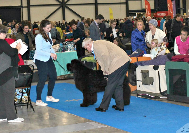 Фотография № 232810