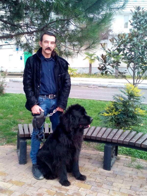 Фотография № 232831