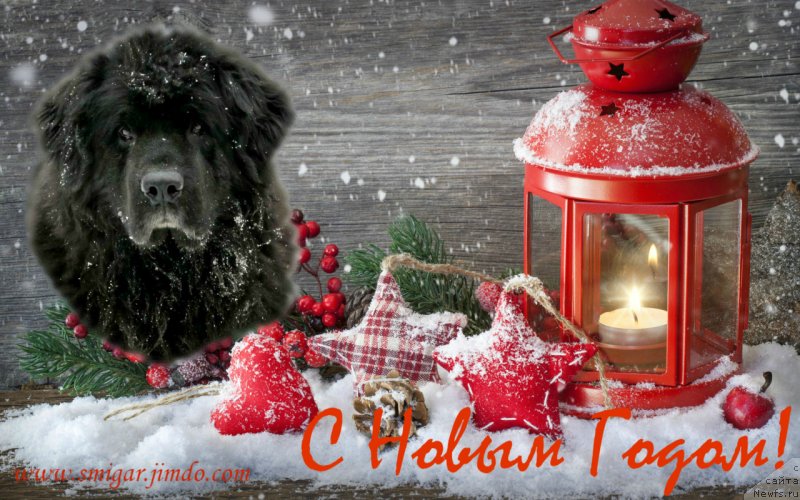 Фотография № 232834