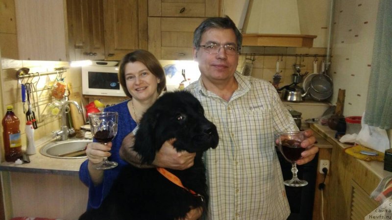 Фотография № 232837