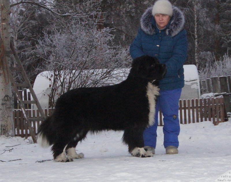 Фотография № 232857