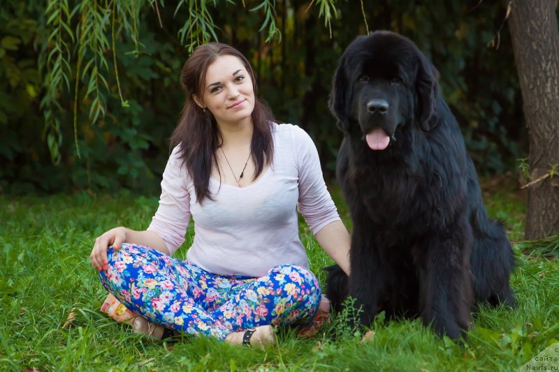 Фото: Kseniya Mogutnova (Ксения Могутнова), ньюфаундленд Aknolidzh Akela (Акнолидж Акела), Kseniya Mogutnova (Ксения Могутнова)