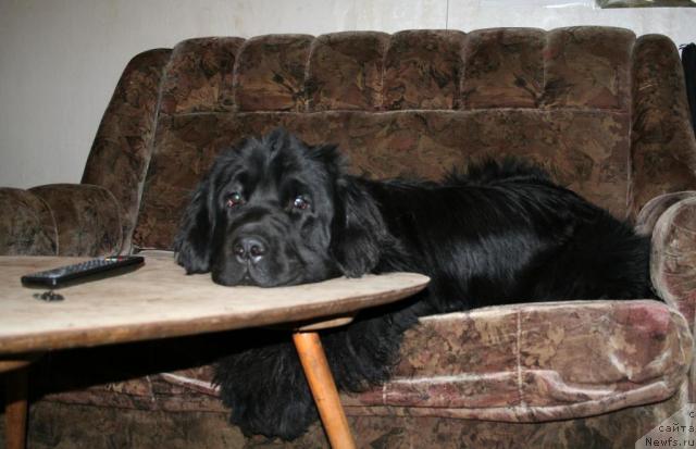 Фотография № 23289