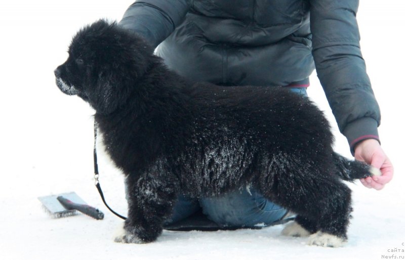 Фото: Фьерд