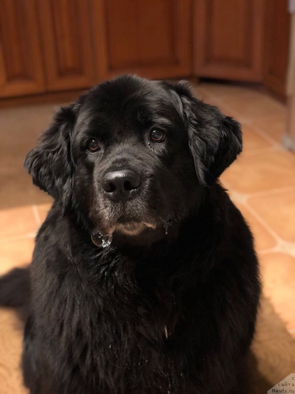 Фотография № 232898