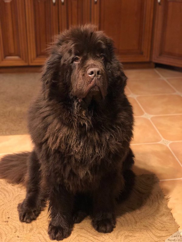 Фотография № 232900