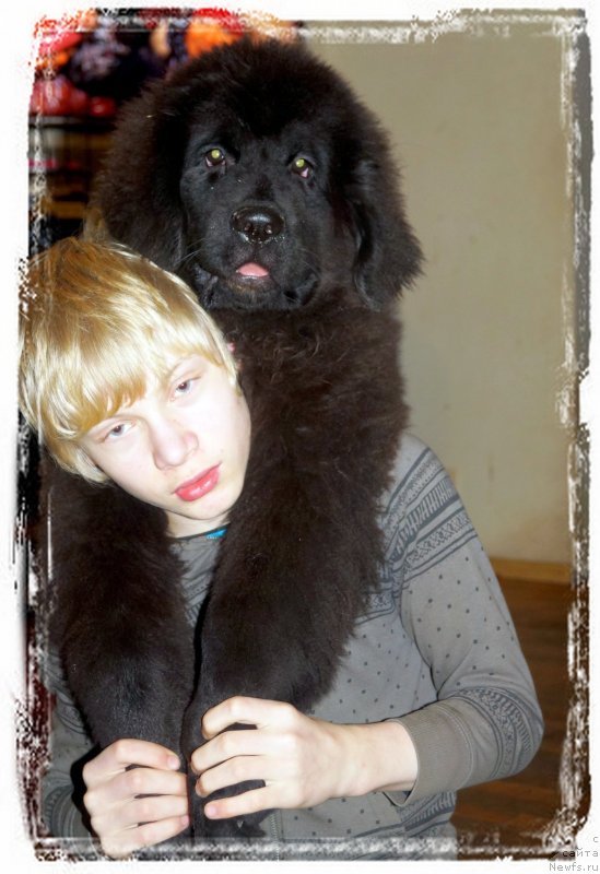 Фотография № 232941