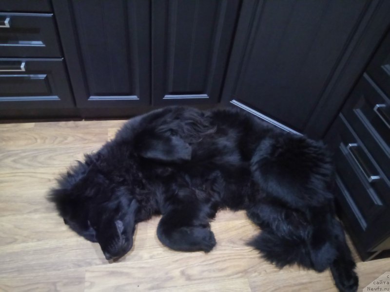 Фото: Kseniya SCHyogoleva (Ксения Щёголева)