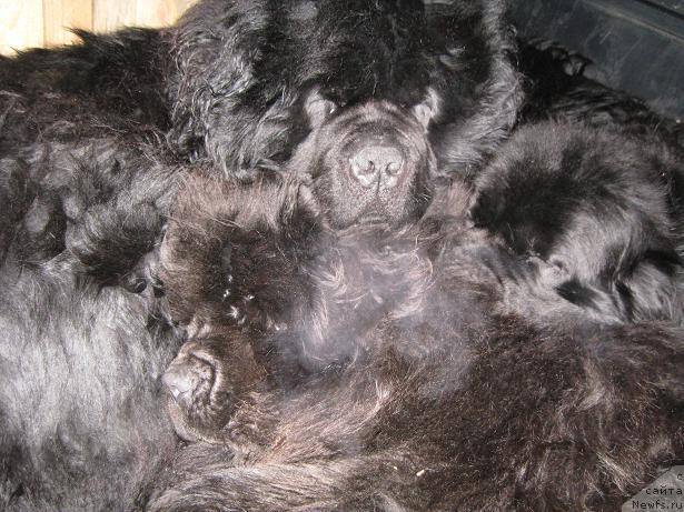 Фотография № 23295