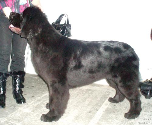 Фотография № 23299