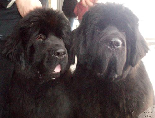 Фотография № 23302