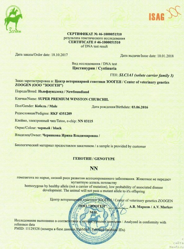 Фотография № 233039