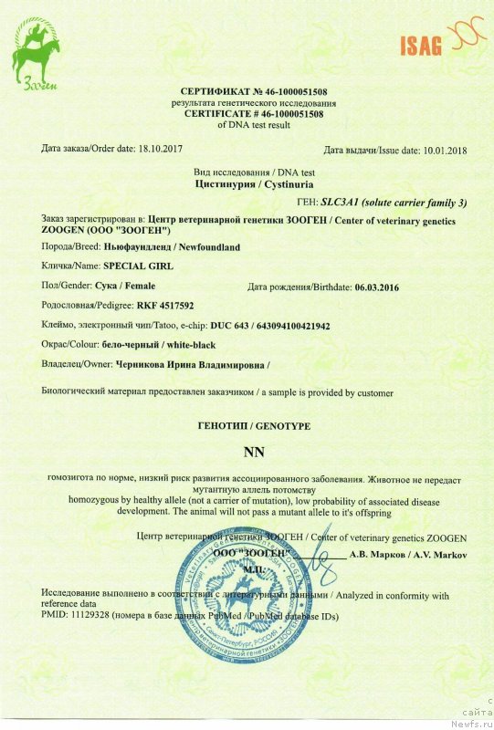 Фото: ньюфаундленд Special Girl (Специал Герл)