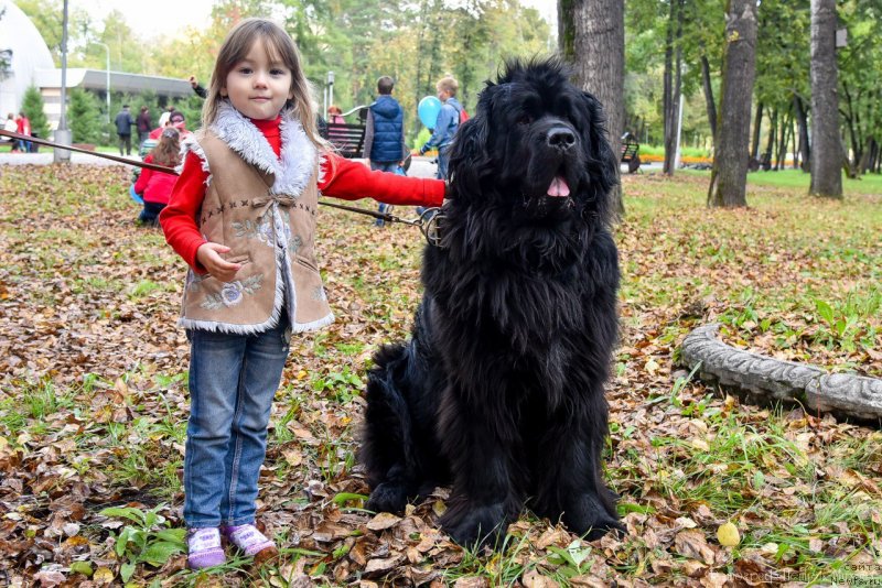 Фотография № 233083