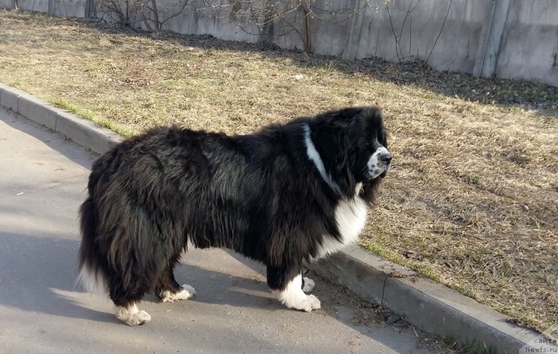 Фотография № 233095