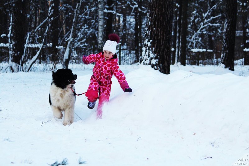 Фотография № 233101