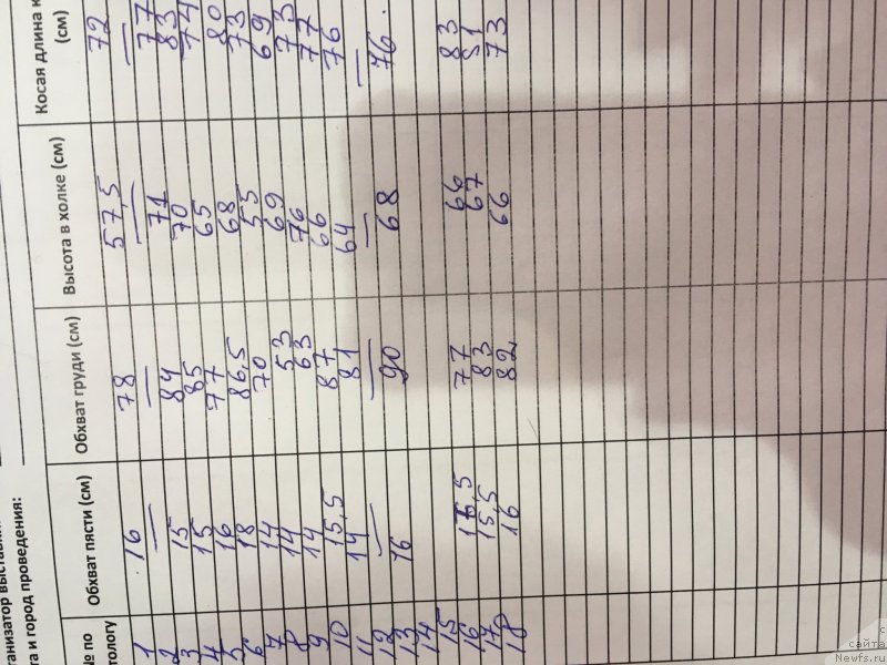 Фотография № 233118