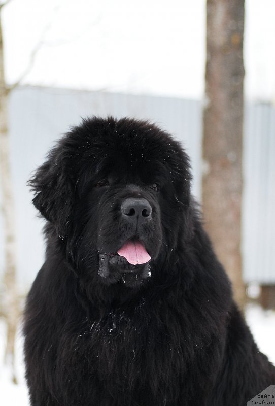 Фотография № 233134