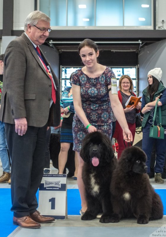 Фотография № 233140