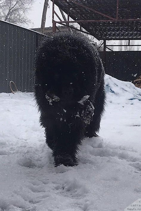 Фотография № 233176