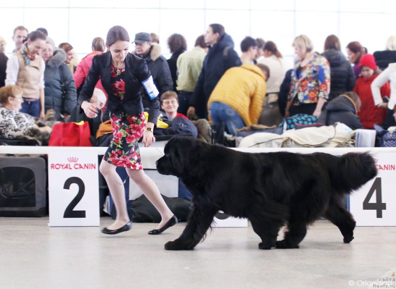 Фотография № 233234