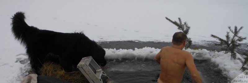 Фотография № 233265