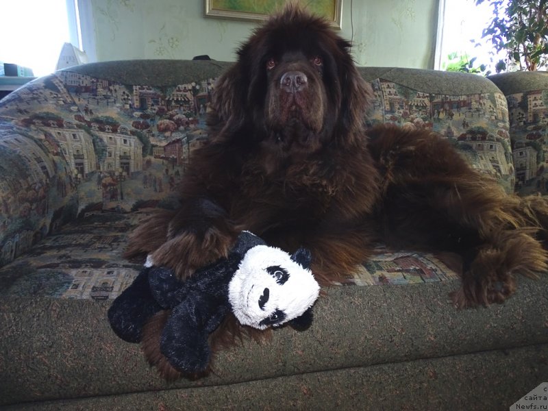 Фотография № 233270