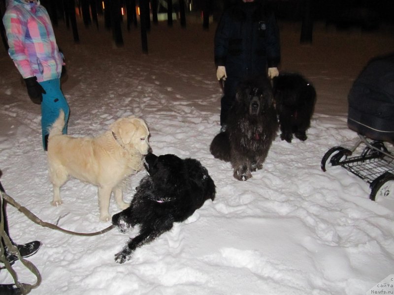 Фотография № 233294