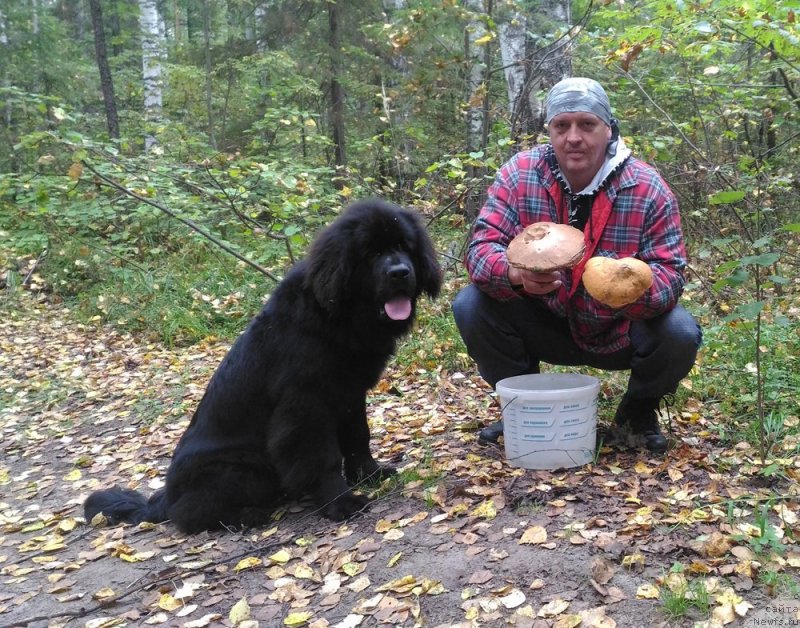 Фотография № 233358