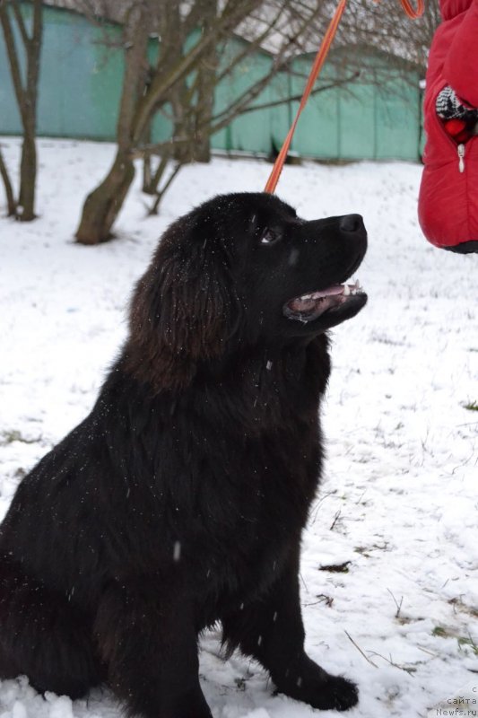Фото: Salih Mahmudov (Салих Махмудов)