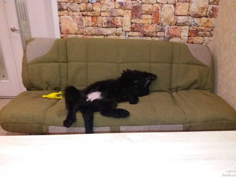 Фотография № 233455