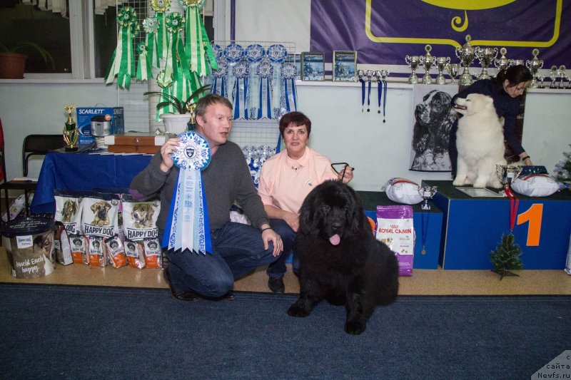 Фотография № 233456