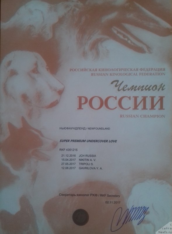 Фотография № 233476