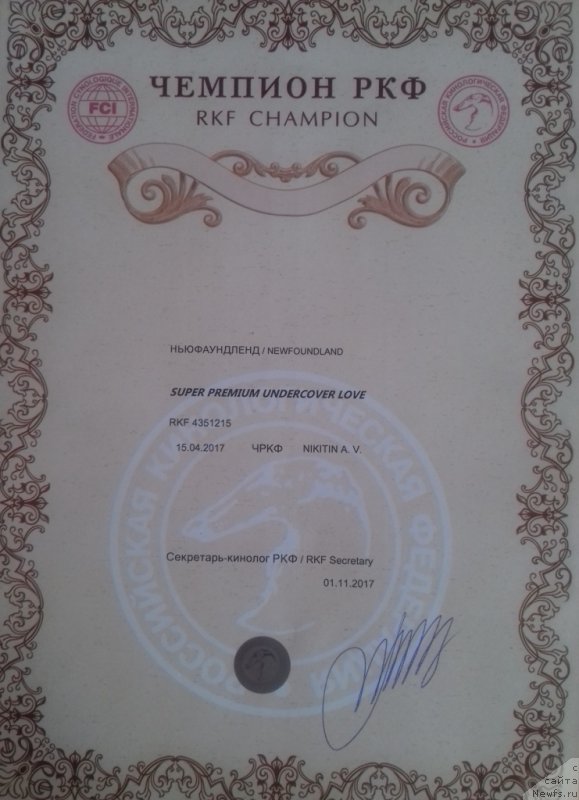 Фотография № 233477