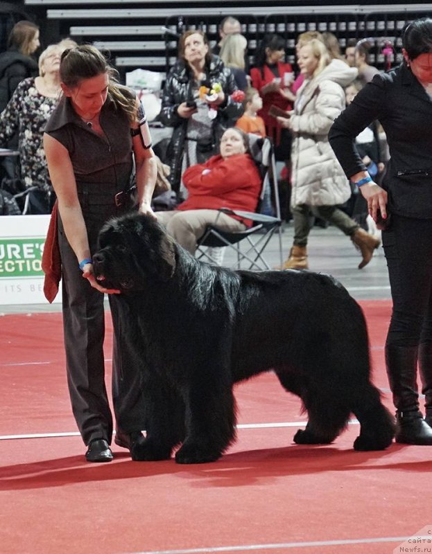 Фотография № 233504